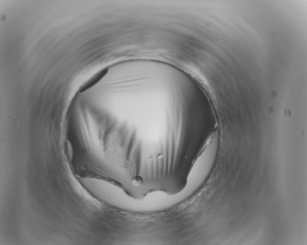 X0000088361528200706121042