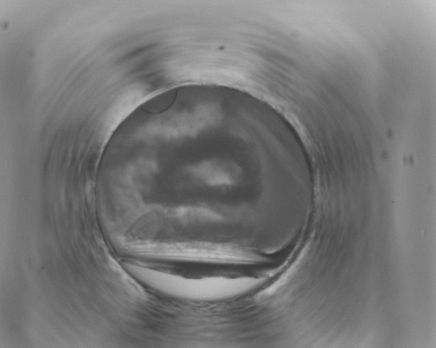 X0000088361529200706121042