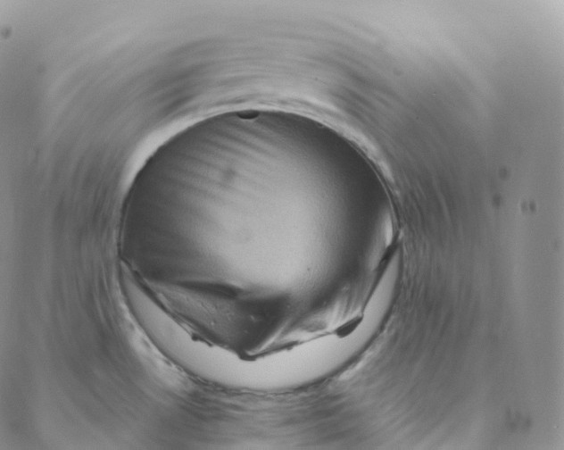 X0000088361530200706121042