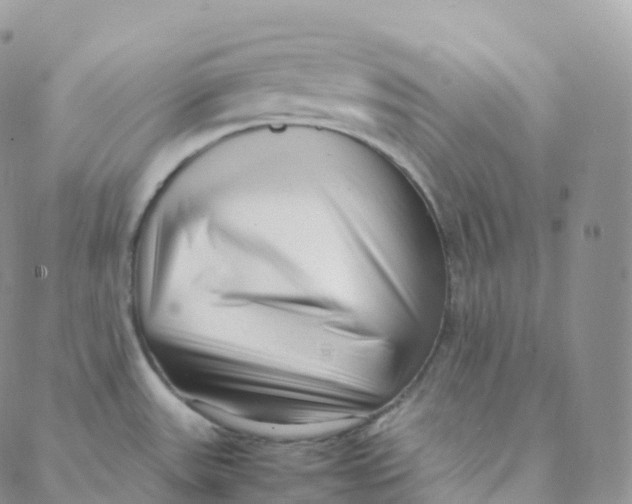 X0000088361531200706121042