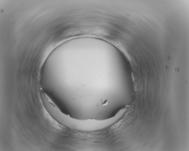 X0000088361532200706121042