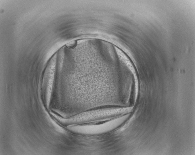 X0000088361533200706121042