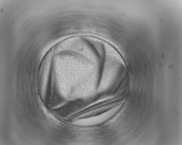 X0000088361534200706121042