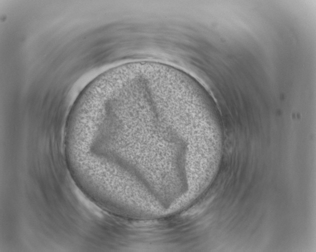 X0000088361535200706121042