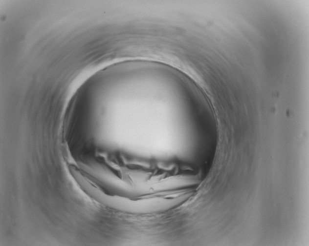 X0000088361536200706121042