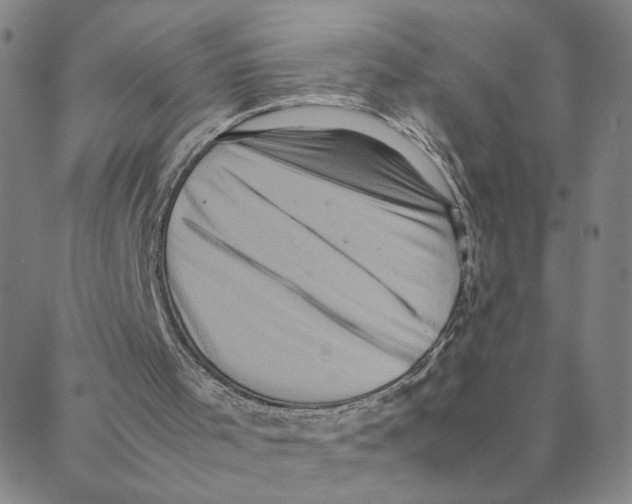 X0000088360001200706191230