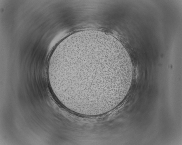 X0000088360004200706191230