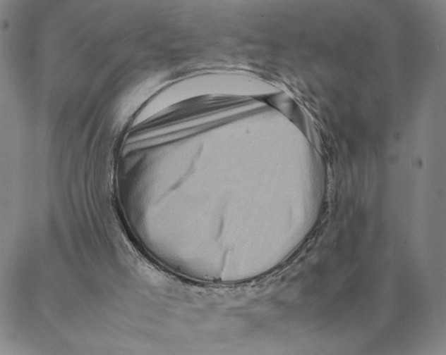 X0000088360005200706191230