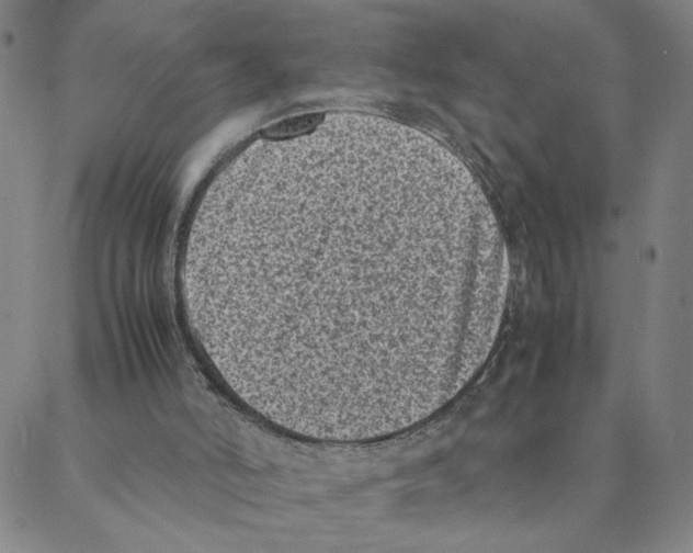X0000088360006200706191230