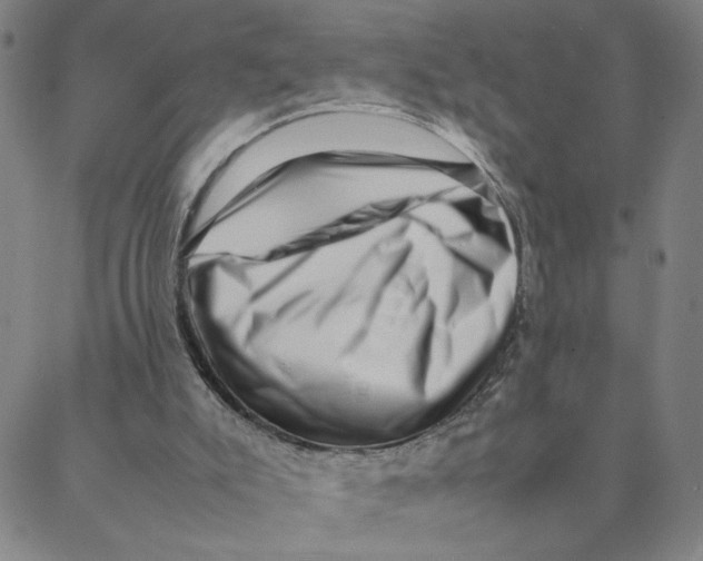 X0000088360007200706191230