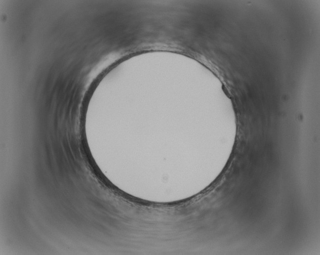 X0000088360008200706191230