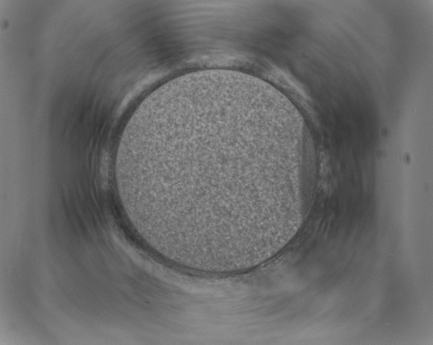 X0000088360012200706191230