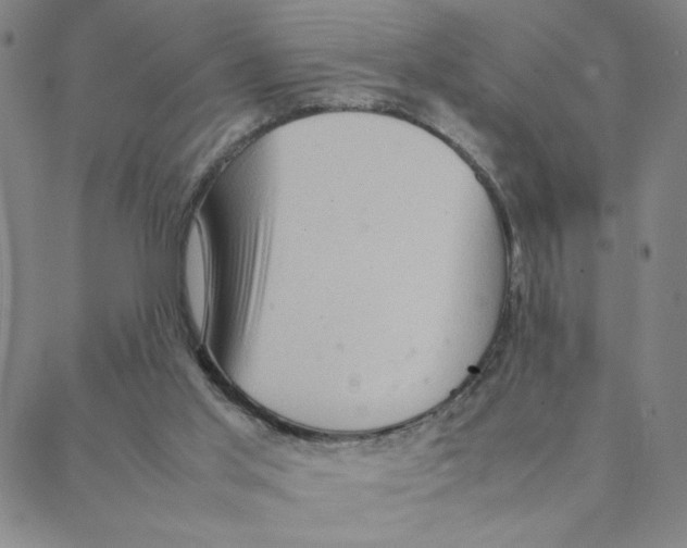 X0000088360013200706191229