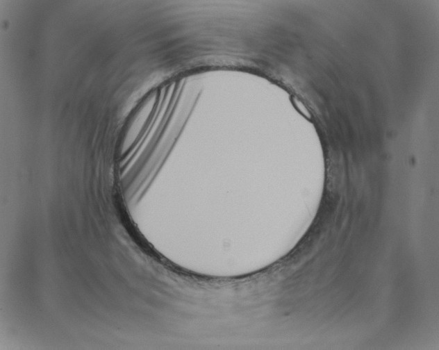 X0000088360015200706191229