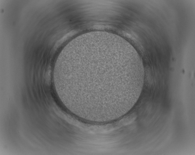 X0000088360016200706191229