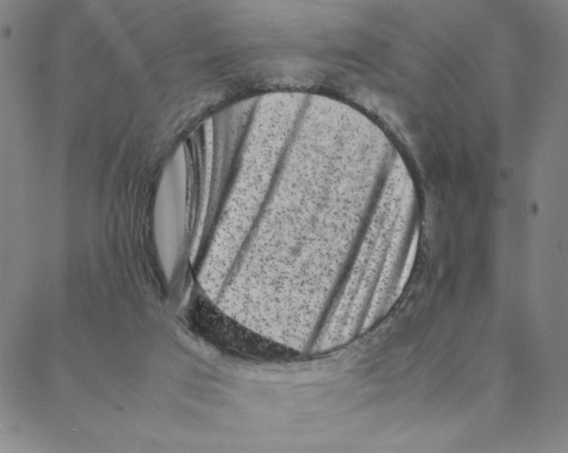 X0000088360017200706191229