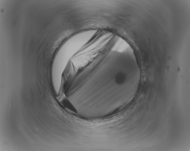 X0000088360019200706191229