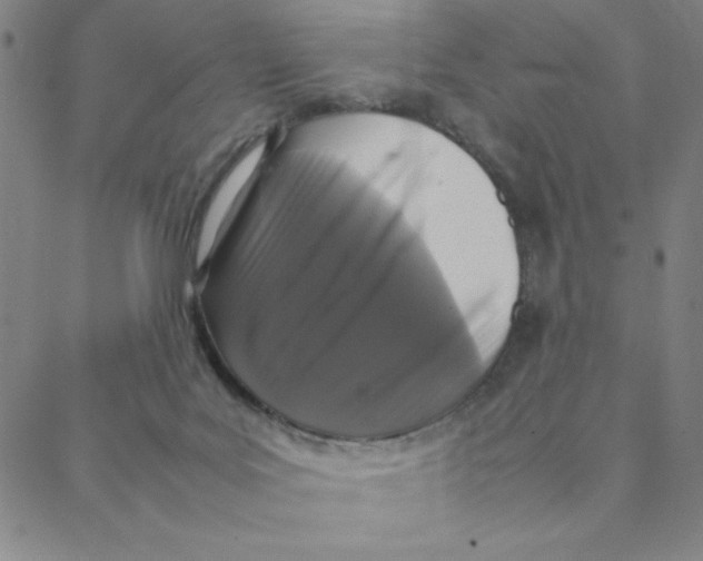 X0000088360027200706191229