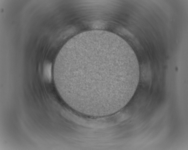 X0000088360028200706191229