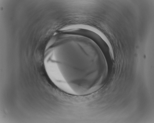 X0000088360031200706191229
