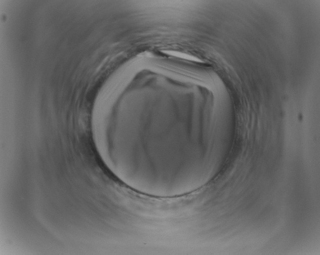 X0000088360035200706191229