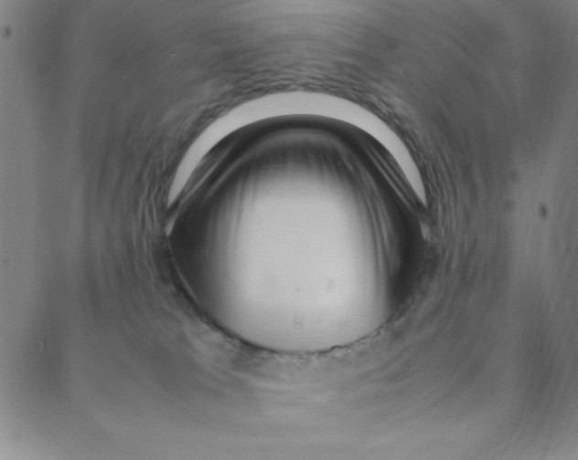 X0000088360037200706191229
