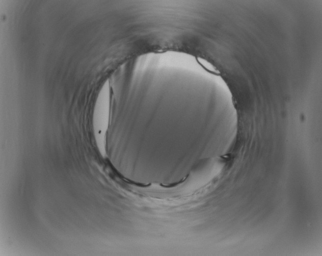 X0000088360039200706191229