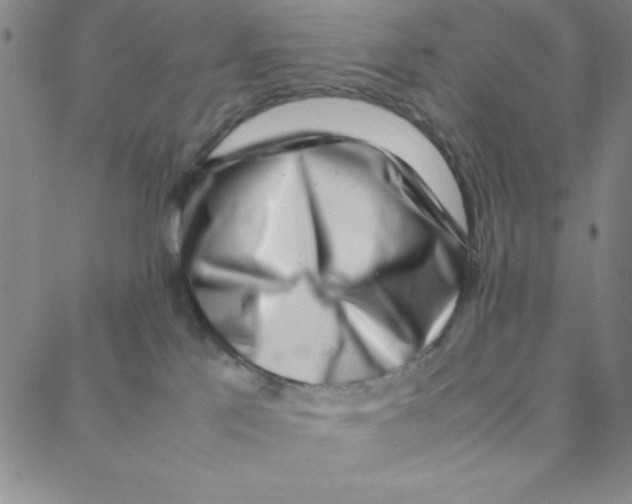 X0000088360041200706191229