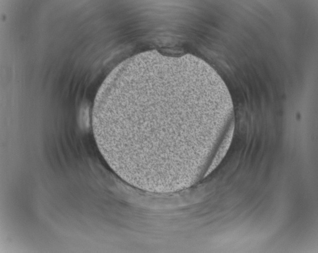 X0000088360042200706191229