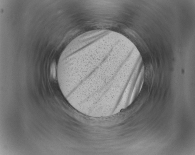 X0000088360046200706191229
