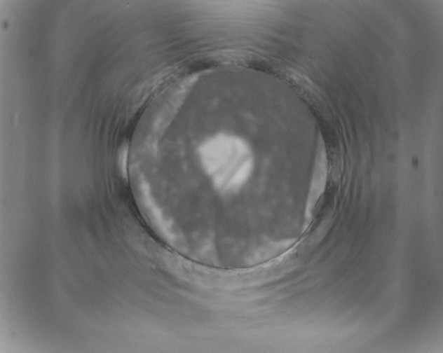 X0000088360047200706191229