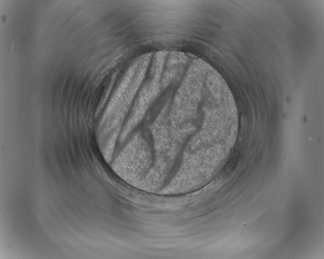 X0000088360048200706191229