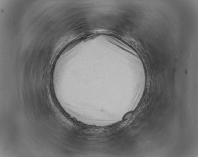X0000088360049200706191228