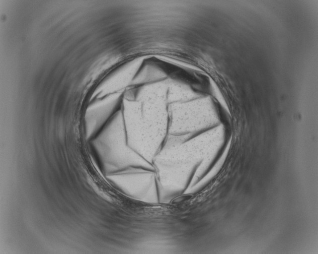 X0000088360050200706191228