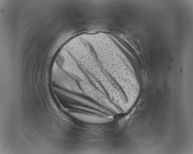 X0000088360055200706191228