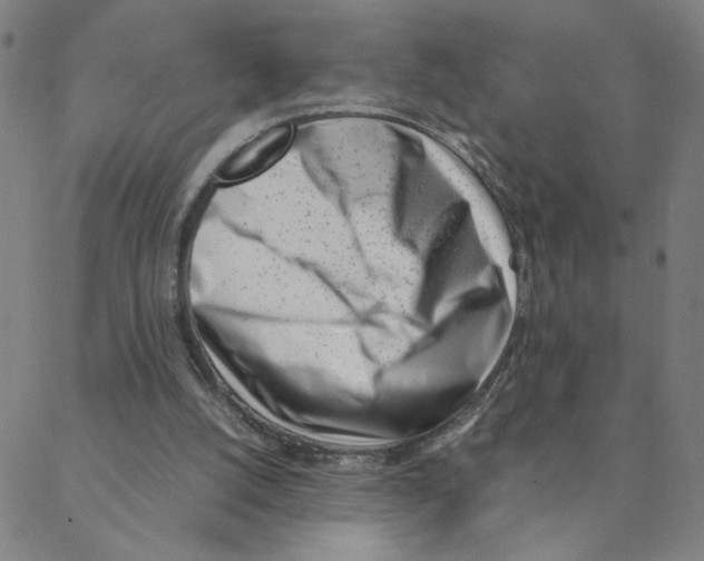 X0000088360056200706191228