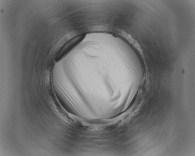 X0000088360057200706191228