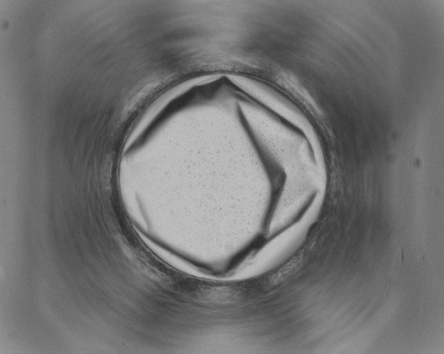 X0000088360058200706191228