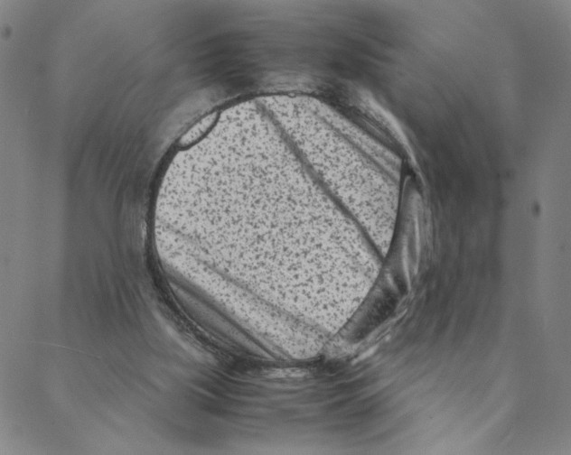 X0000088360059200706191228
