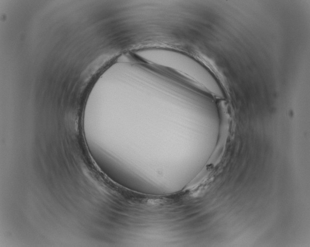 X0000088360060200706191228