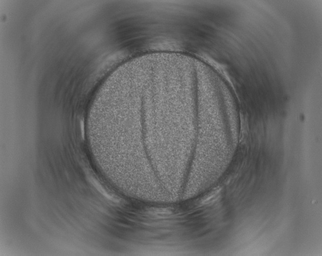 X0000088360061200706191228