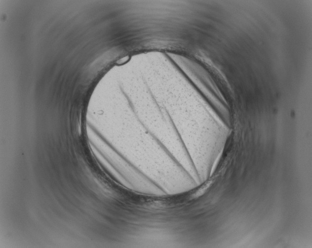 X0000088360062200706191228