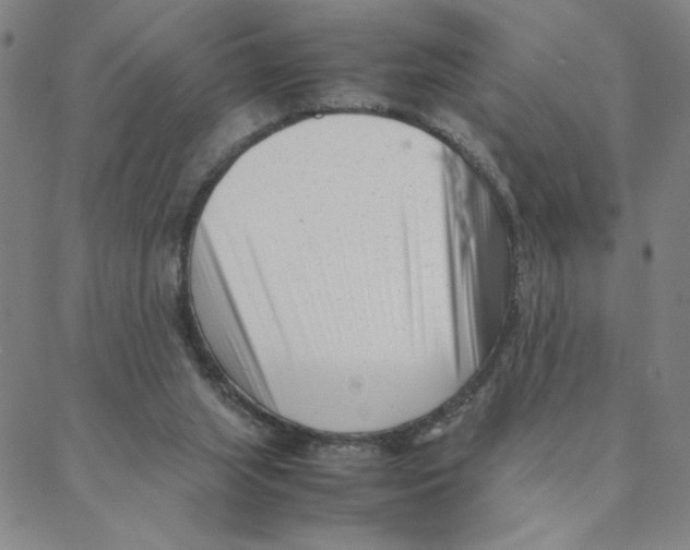 X0000088360063200706191228