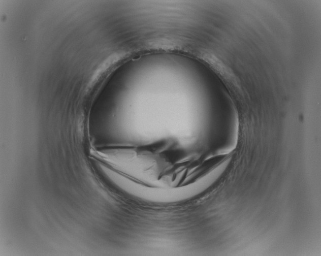 X0000088360064200706191228