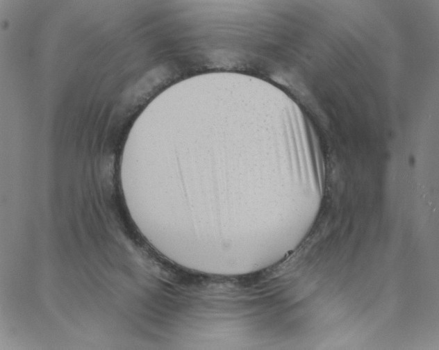 X0000088360066200706191228