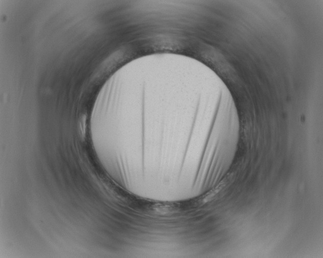 X0000088360070200706191228