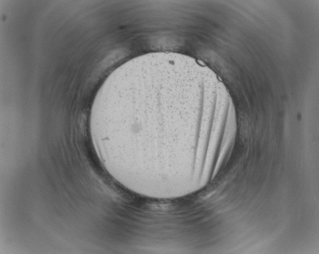 X0000088360071200706191229