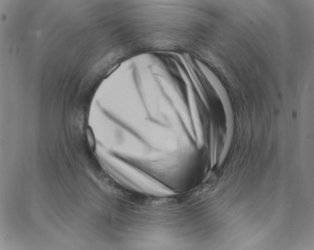 X0000088360072200706191229