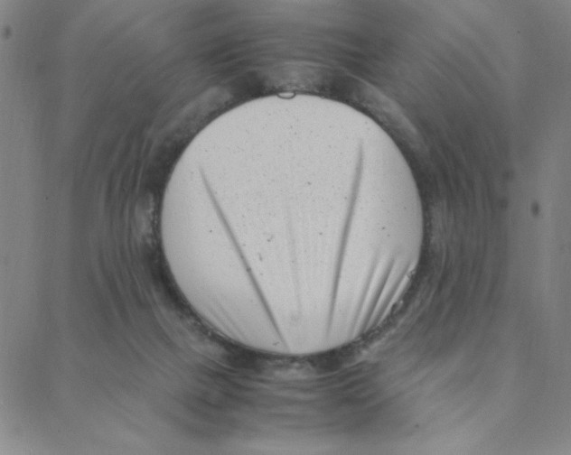 X0000088360073200706191229
