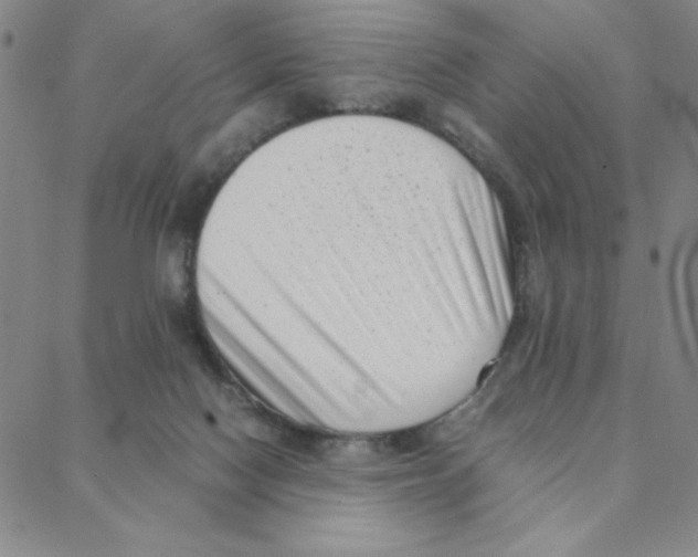 X0000088360074200706191229